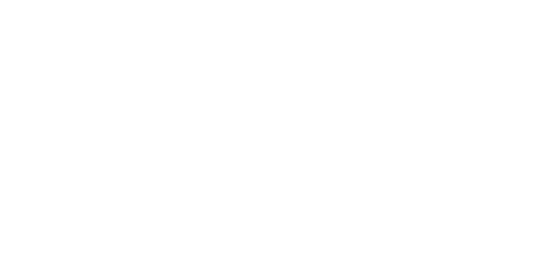 York logo white